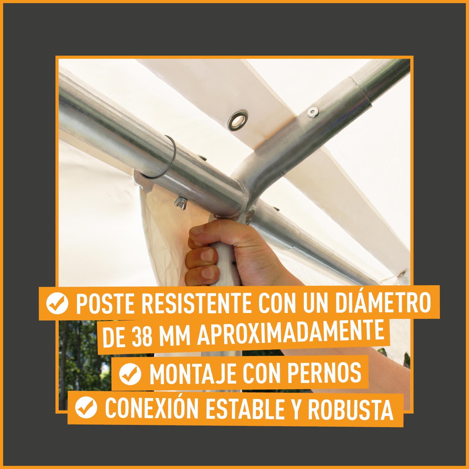 Carpa para fiestas